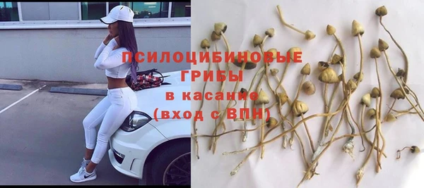 амф Кодинск