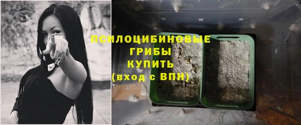 МДМА Козловка