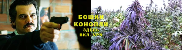 амф Кодинск