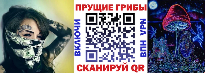 Галлюциногенные грибы Psilocybine cubensis Бийск