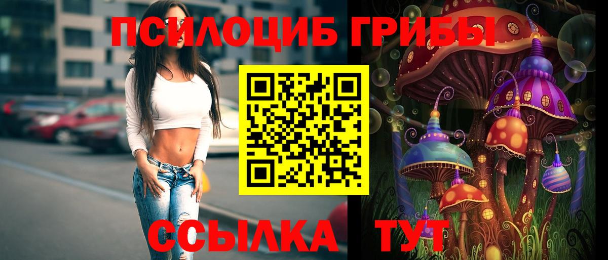 Псилоцибиновые грибы GOLDEN TEACHER Бийск