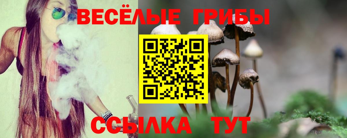 Бийск  Псилоцибиновые грибы GOLDEN TEACHER  Вход с VPN 