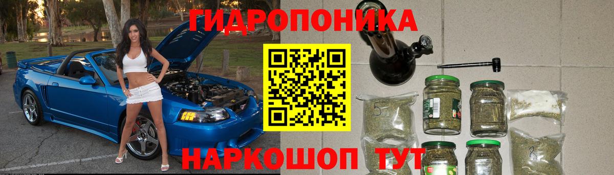 Каннабис план Бийск